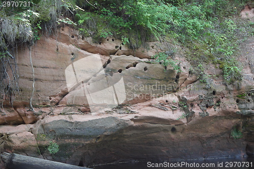 Image of Birds nest in mountains