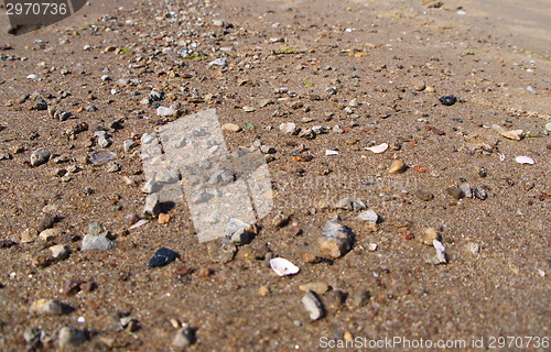 Image of Baltic Beach sand close up