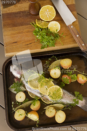 Image of Raw Vegetables And Trout