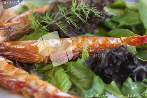 Image of Underside Of Grilled Shrimp