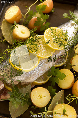 Image of Raw Trout And Vegetables 