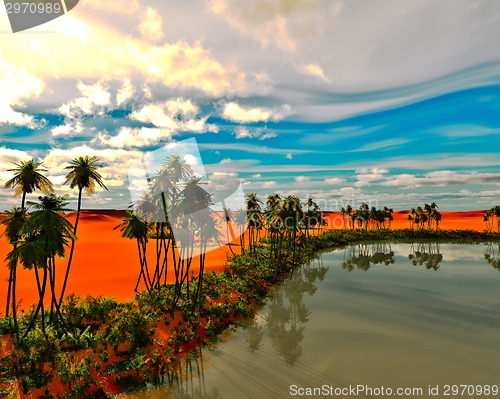 Image of Palm trees on desert