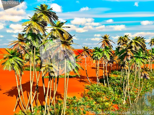 Image of Palm trees on desert