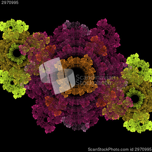 Image of Symmetrical growth of bacteria