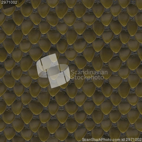 Image of snake skin