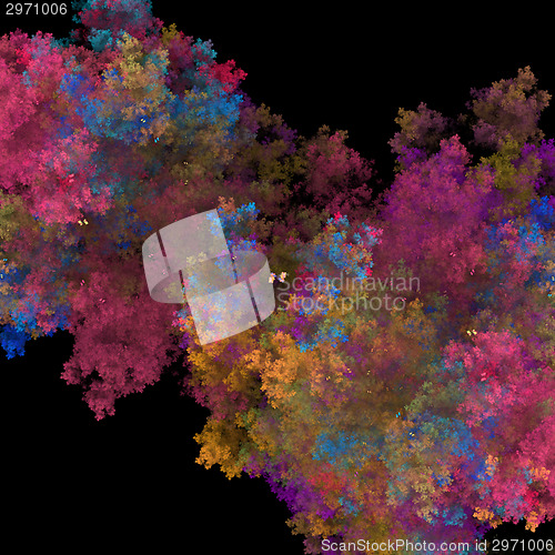 Image of Symmetrical growth of bacteria