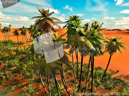 Image of Palm trees on desert