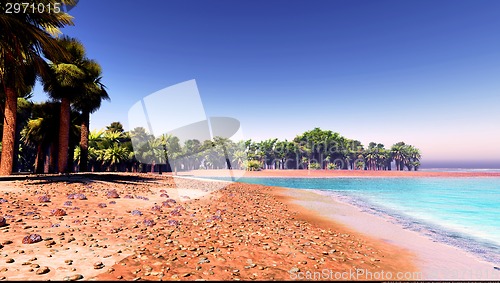 Image of Palm trees on desert