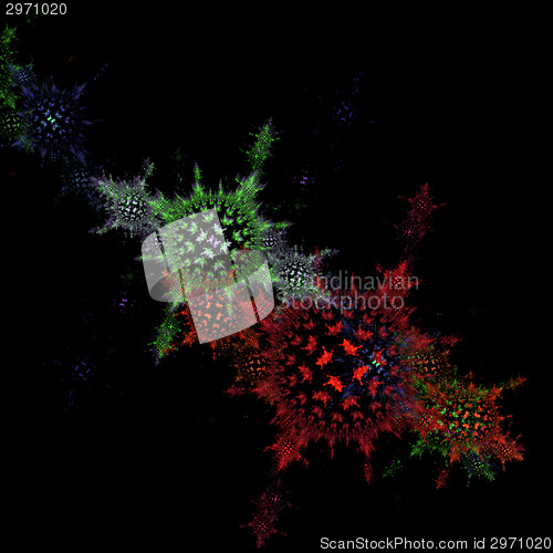 Image of Symmetrical growth of bacteria