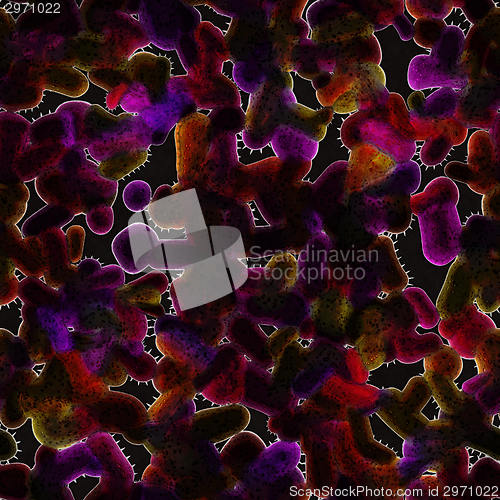 Image of Symmetrical growth of bacteria