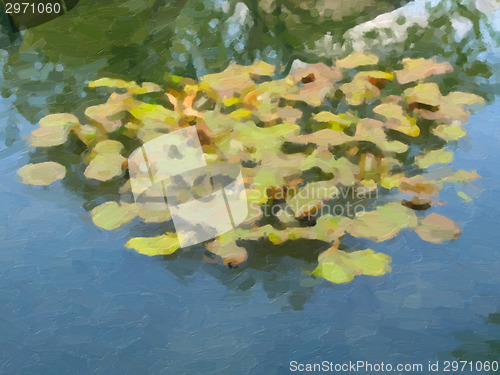 Image of Waterlily oil paint