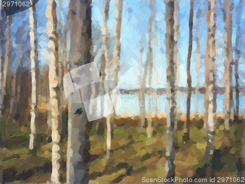 Image of Birch Tree oil paint