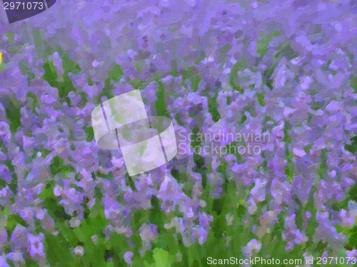 Image of Lavender flowers oil paint