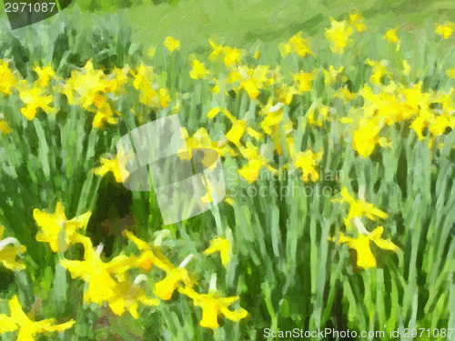 Image of Daffodils picture oil paint