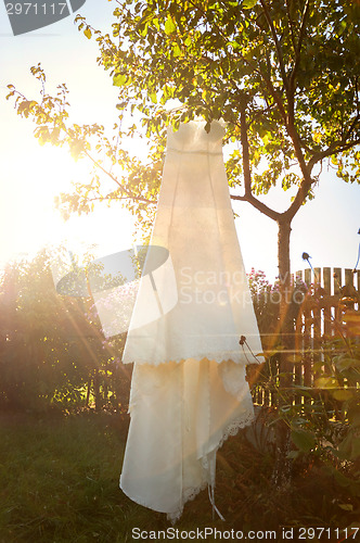 Image of Wedding dress hanging from a tree