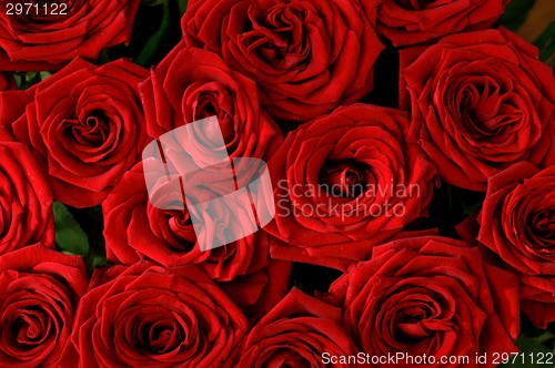 Image of Seamless Red roses background