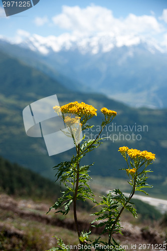 Image of Hiking in mountain