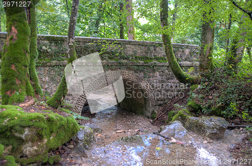 Image of France Savoie forest walks