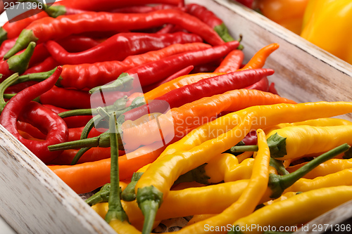 Image of Colored peppers