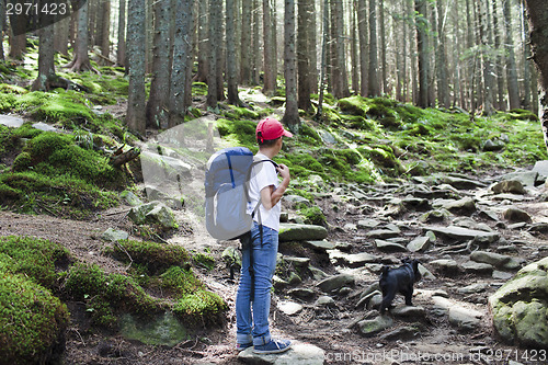 Image of Boy in forest