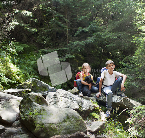 Image of Children in forest