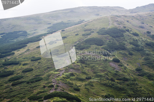 Image of Road in Carpathian mountains