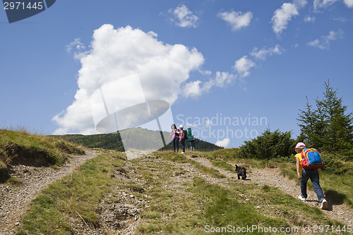 Image of Happy hikers in mountains