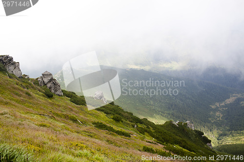 Image of Morning in Carpathian mountains