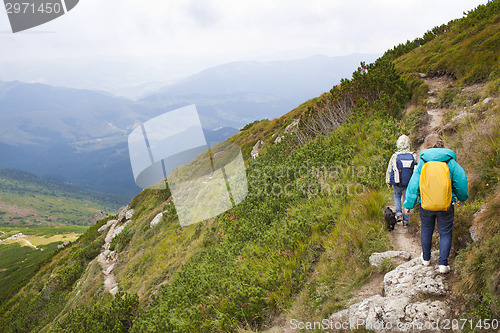 Image of In the mountains