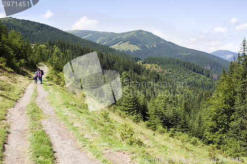 Image of Happy hikers in mountains