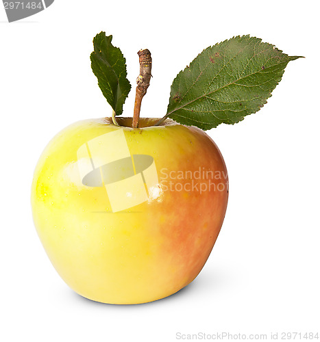 Image of Juicy Apple With Green Leaves