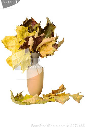 Image of Jug with fallen leaves