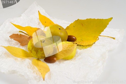 Image of autumn leaves with apples