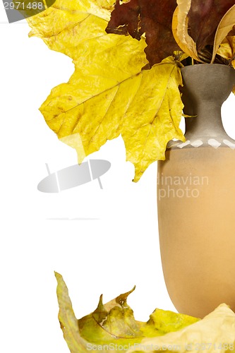 Image of Jug with fallen leaves