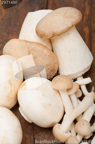 Image of fresh wild mushrooms