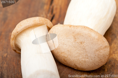Image of fresh wild mushrooms