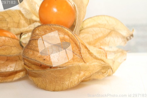 Image of physalis fruit