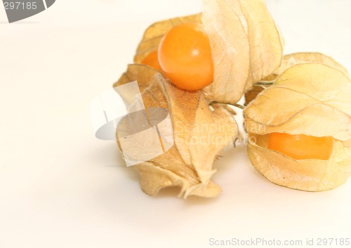 Image of physalis fruit