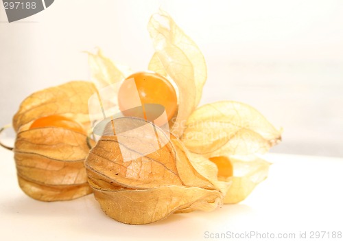 Image of physalis fruit