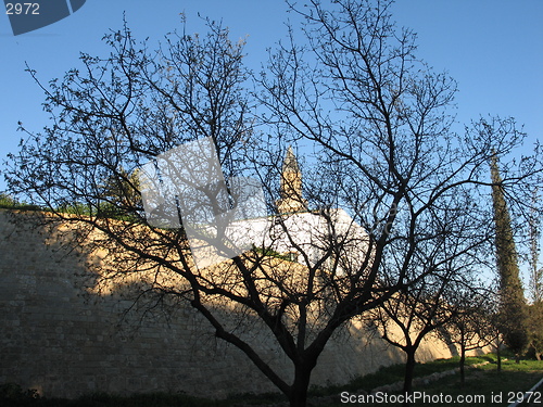 Image of Tree Mosque. Nicosia. Cyprus