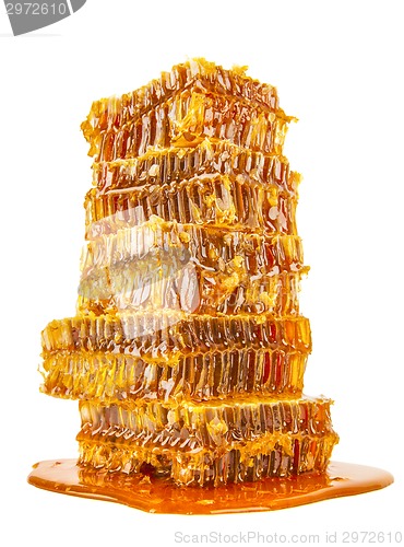 Image of sweet honeycombs with honey