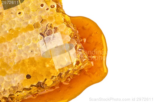 Image of sweet honeycombs with honey