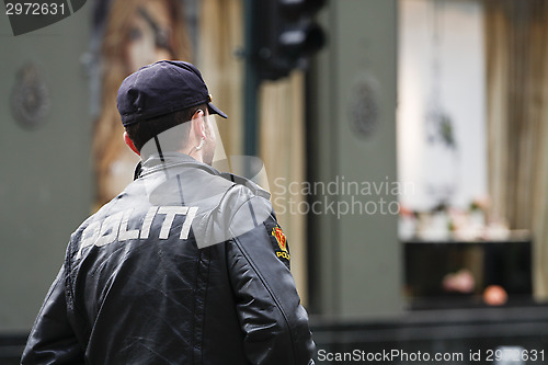 Image of Norwegian Police Officer