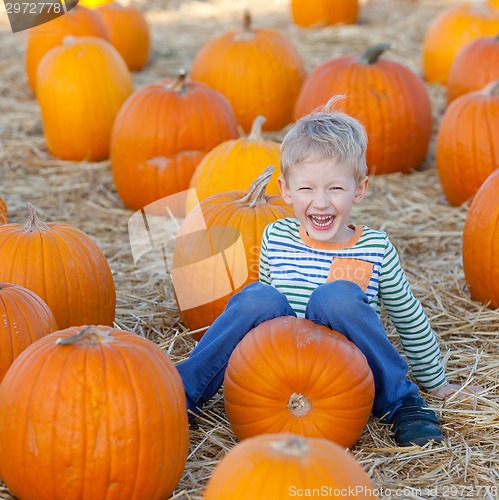 Image of kid at pumpkin patch