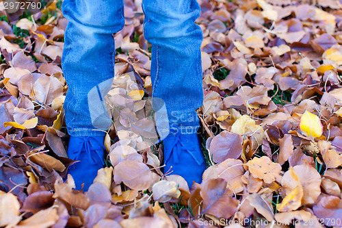 Image of kids feet in autumn leaves