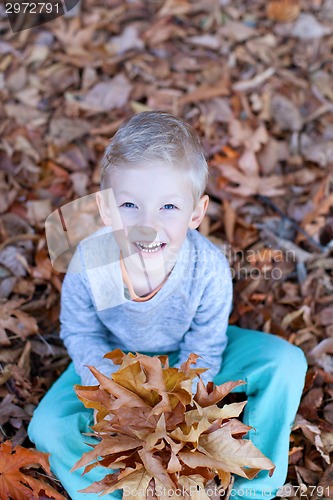 Image of kid at fall