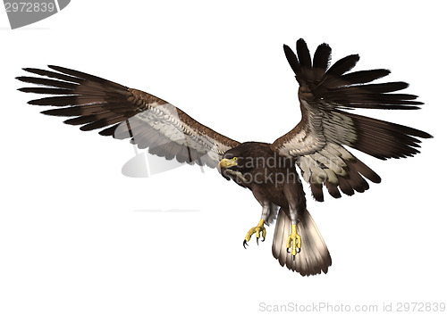 Image of Eagle Landing