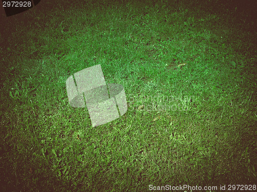 Image of Retro look Meadow