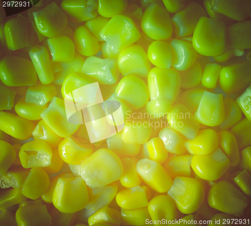 Image of Retro look Maize corn