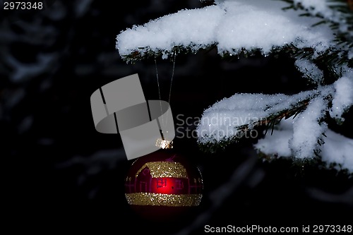 Image of christmas baule